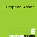 European Asset Allocation under Solvency II